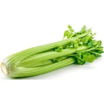 Сельдерей — Exim Agro