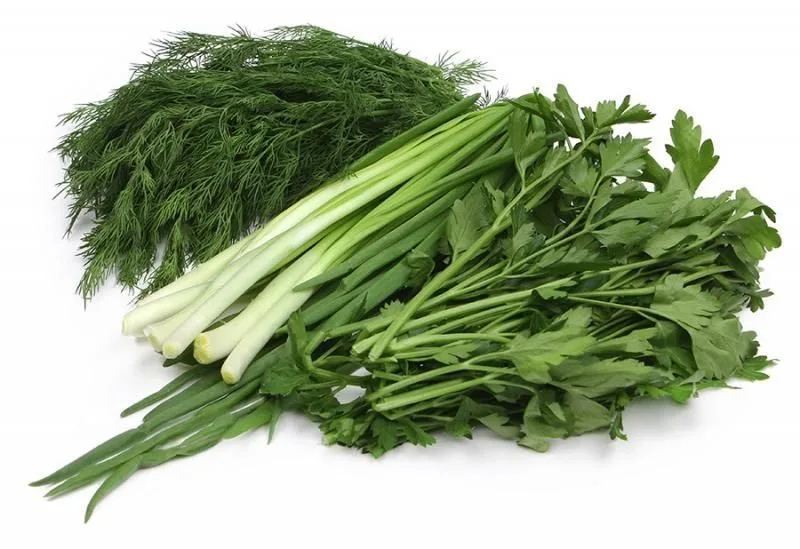 Свежая зелень — Exim Agro