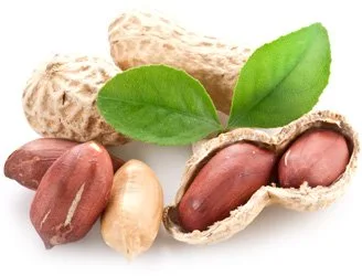 Peanuts — Exim Agro