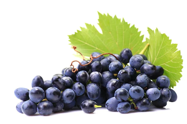 Fresh grapes — Exim Agro