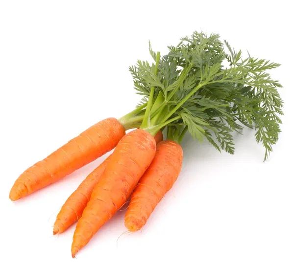 Carrots — Exim Agro