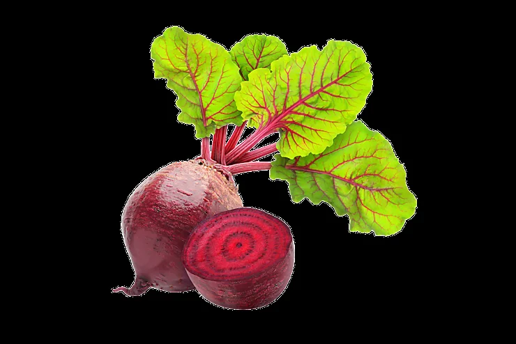 Beetroot — Exim Agro