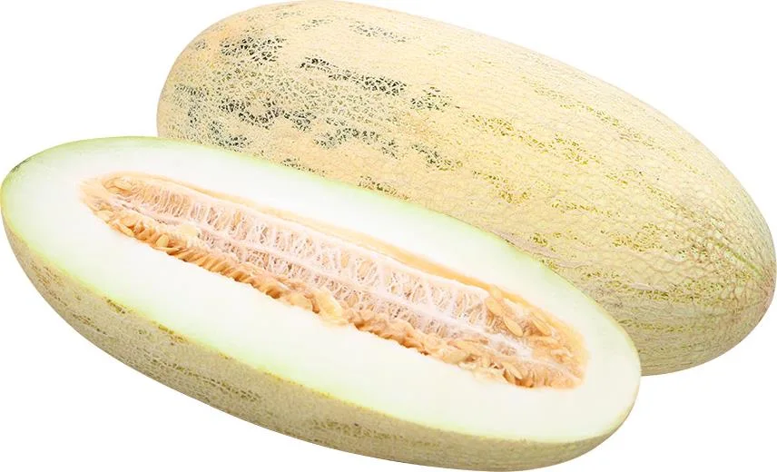 Дыня — Exim Agro