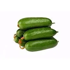 Cucumbers — Exim Agro