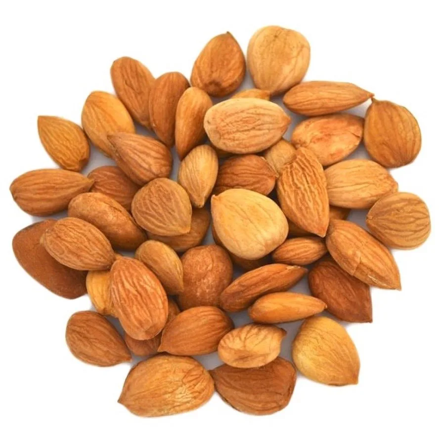 Apricot kernels — Exim Agro